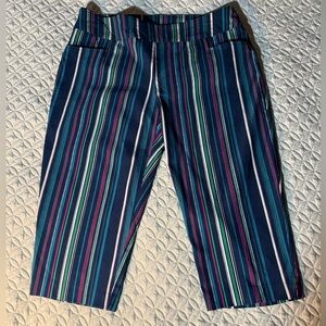 Navy Multi-Stripe Cropped Pants with tummy panel 14W